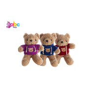 Hoodie Hugs Bear | Assorted