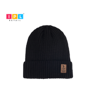 Arctic Horizon Beanie