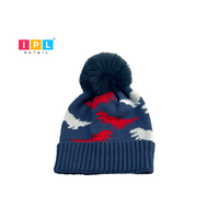 Kid Beanie in Blue With a Pom Pom