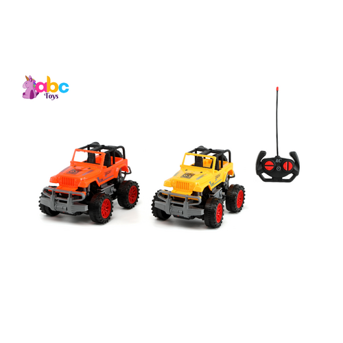 Remote Control Monster Truck | Assorted