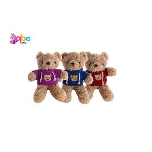 Hoodie Hugs Bear | Assorted