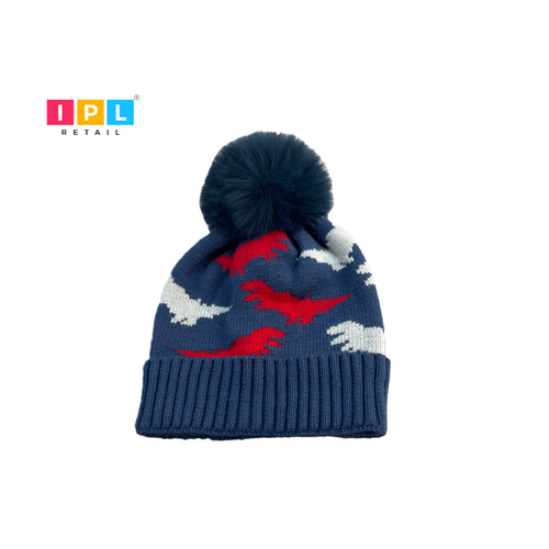 Kid Beanie in Blue With a Pom Pom